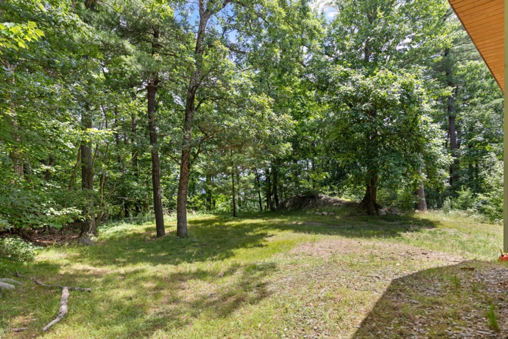 15 Pilgrims Path Sudbury, MA 01776 - Photo 25 of 29 a view of outdoor space with trees all around