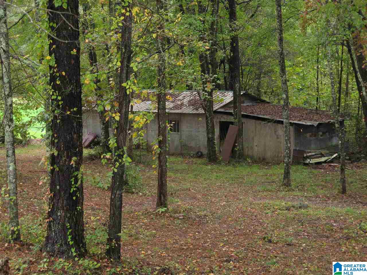 259 Valley Grove Road Goodwater, AL 35072 - Photo 27 of 30
