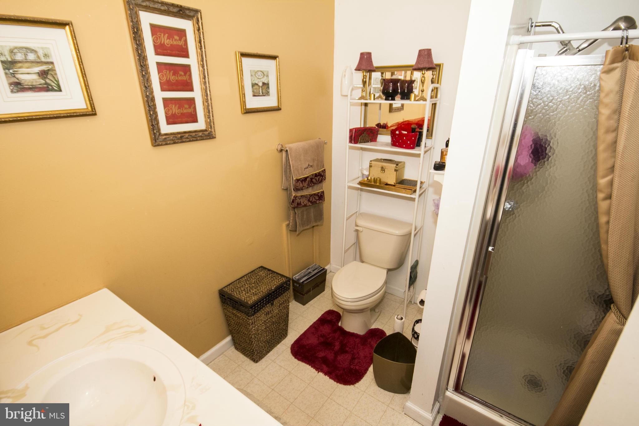 3202 Ripple Road Baltimore, MD 21244 - Photo 16 of 24 Bath (Master)
