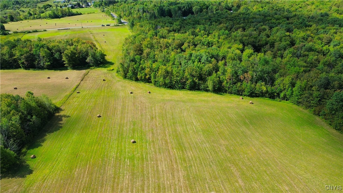 Lot 3-1 Oregon Road Mohawk, NY 13407 - Photo 10 of 10 Gallery Image 10