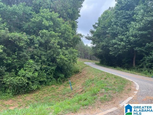 0 County Road 92, Unit X Graham, AL 36263 - Photo 5 of 13