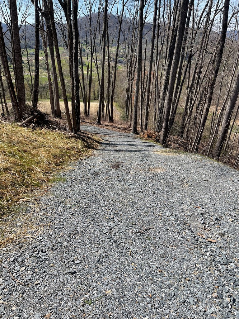 17 M Ridges Hayesville, NC 28904 - Photo 22 of 30