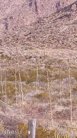 a view of an ocean beach