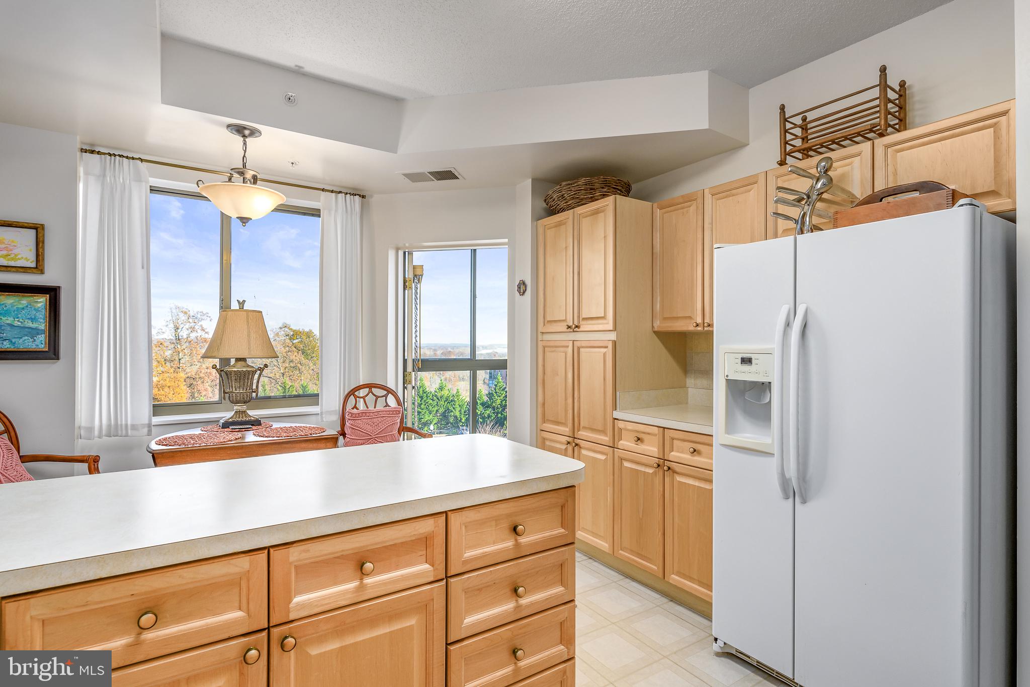 19355 Cypress Ridge Terrace, Unit 411 Leesburg, VA 20176 - Photo 9 of 28