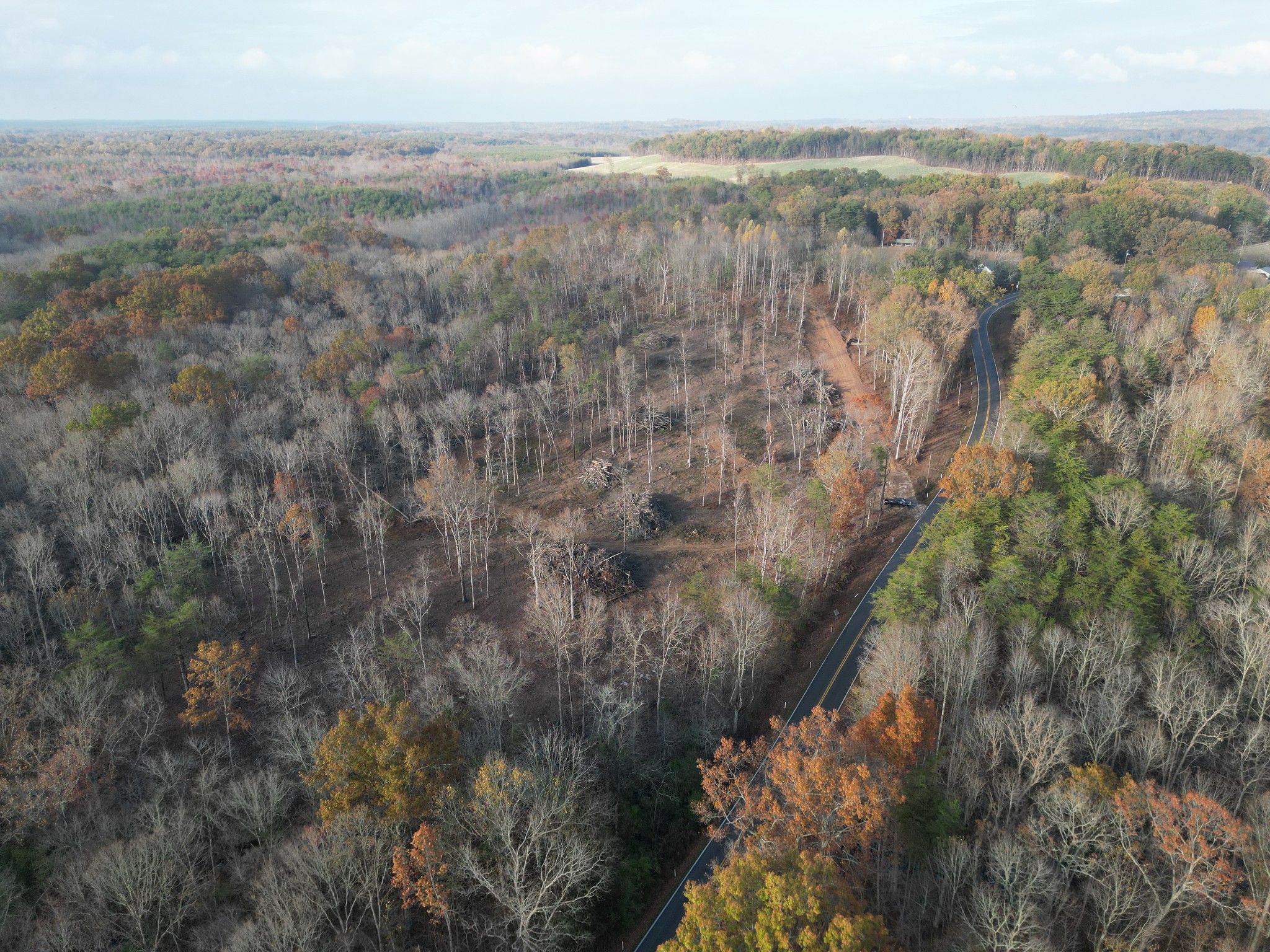0 Flat Branch Road Tracy City, TN 37387 - Photo 3 of 14 Gallery Image 3