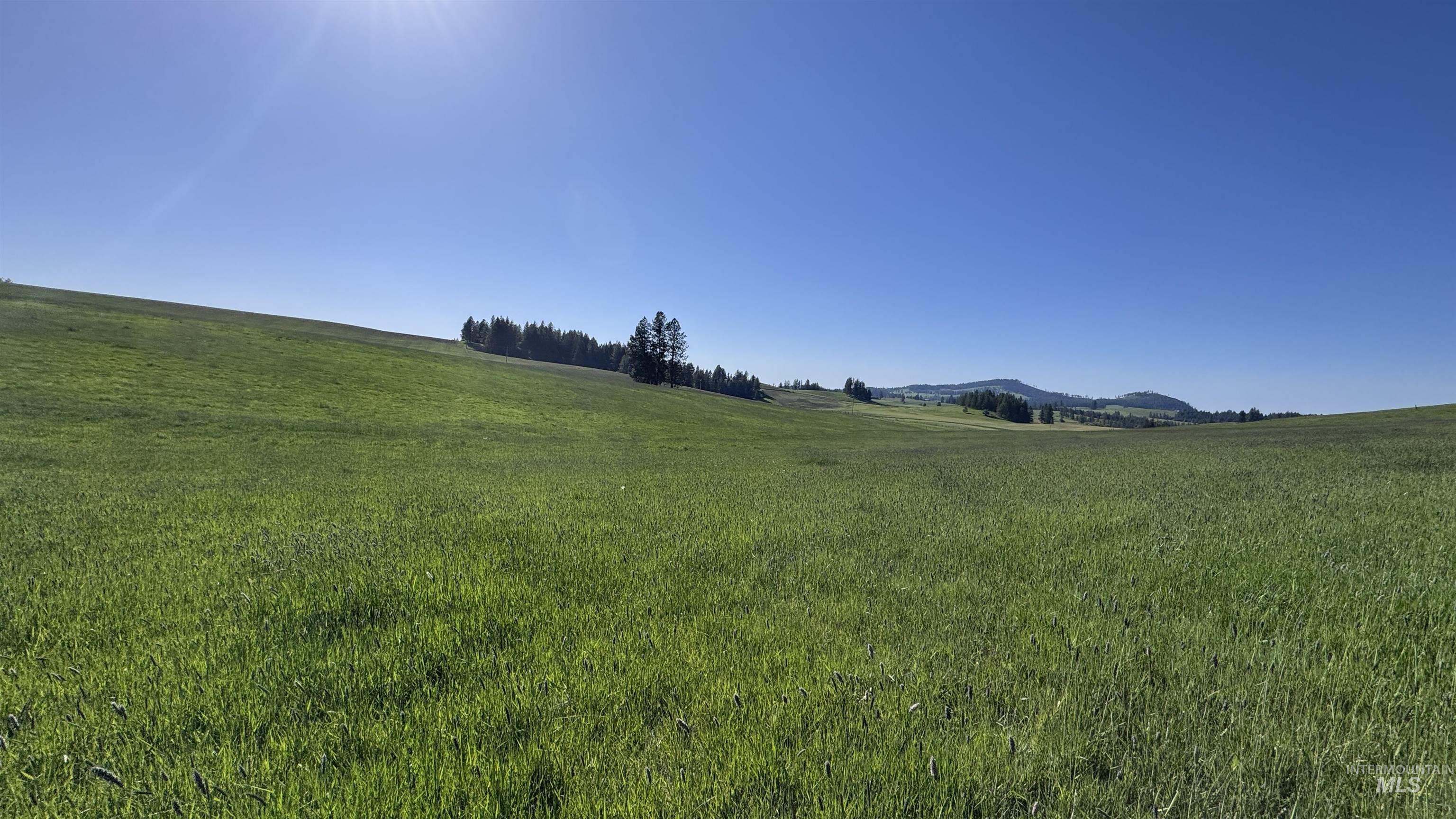Tbd Harrisburg Road Kamiah, ID 83536 - Photo 37 of 50