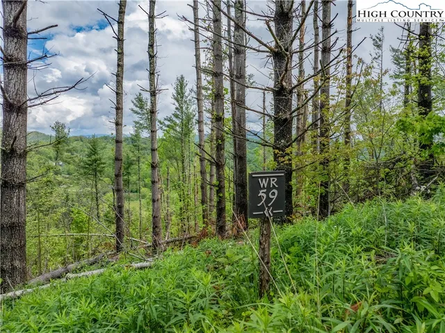 a green field with lots of bushes