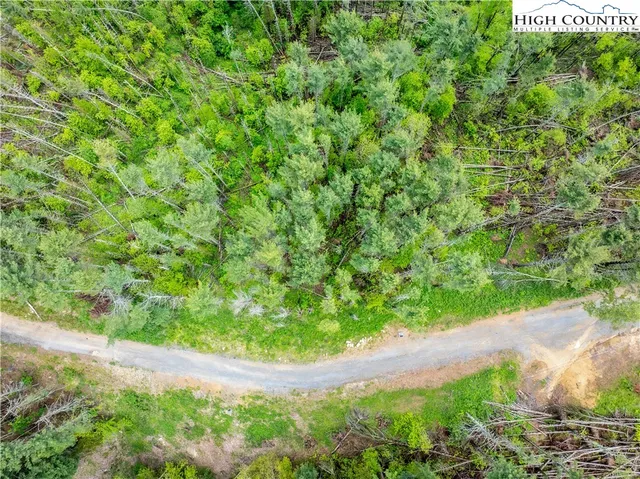 a view of a yard with plants