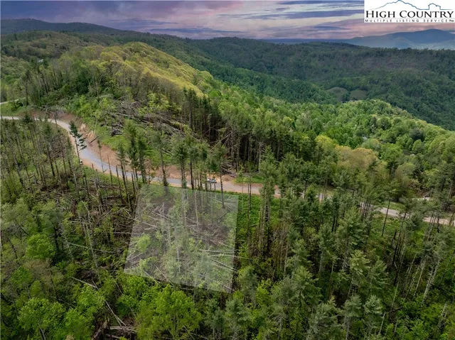 a view of a lush green forest with lots of trees