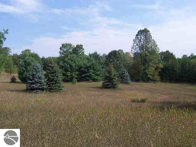 Lot 'e' Lot 'e' Frog Hollow Road Breckenridge, MI 48615 - Photo 3 of 8 1668731-2.JPG