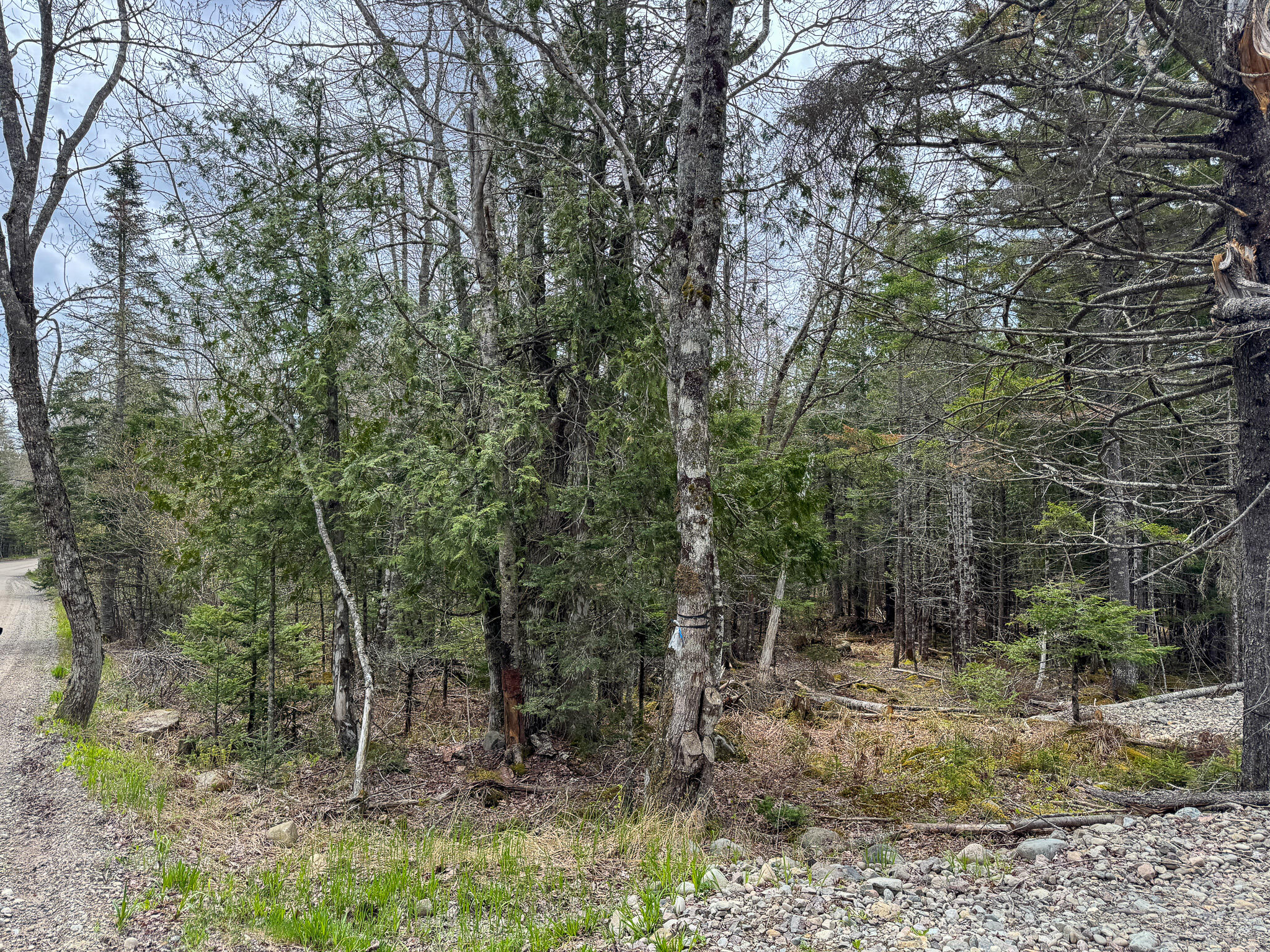 58 High Head Road East Machias, ME 04630 - Photo 5 of 17 IMG_4736