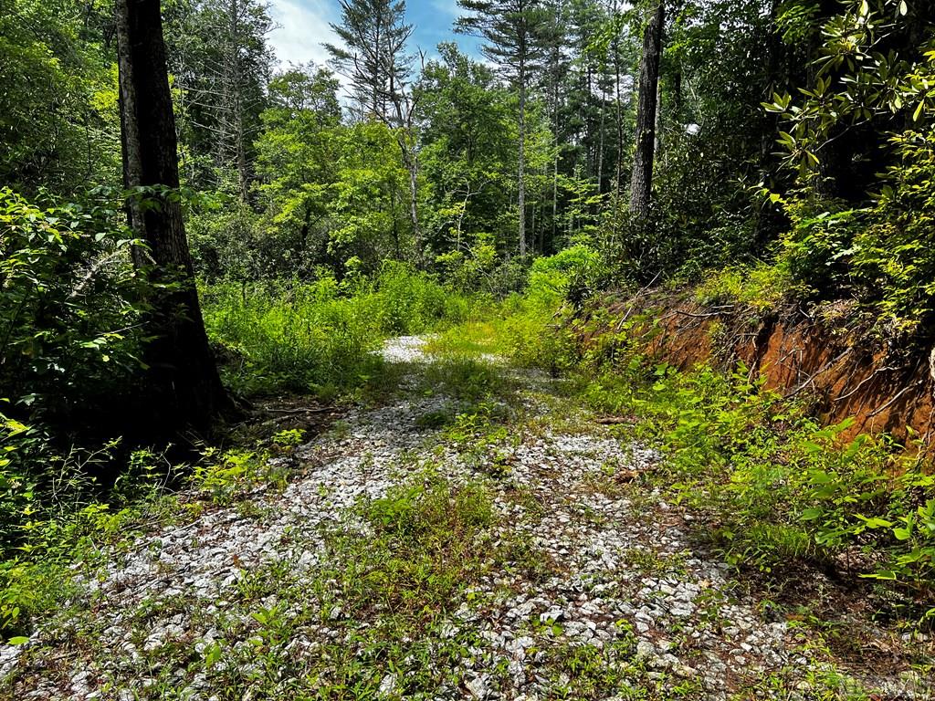 0 Walking Stick Road Highlands, NC 28741 - Photo 3 of 16 Gallery Image 3