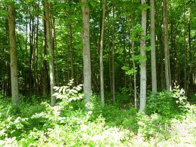8701 Brooks Road Fort Wayne, IN 46825 - Photo 1 of 5