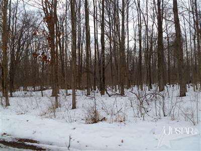 8701 Brooks Road Fort Wayne, IN 46825 - Photo 3 of 5