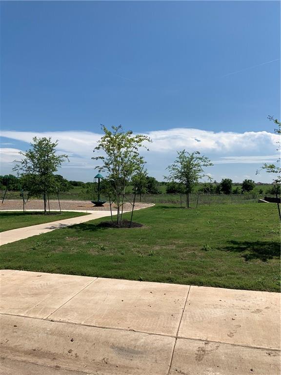 1229 Cliffbrake Way Georgetown, TX 78626 - Photo 22 of 24 a view of a garden with an trees