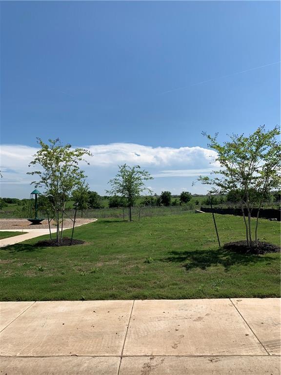 1229 Cliffbrake Way Georgetown, TX 78626 - Photo 23 of 24