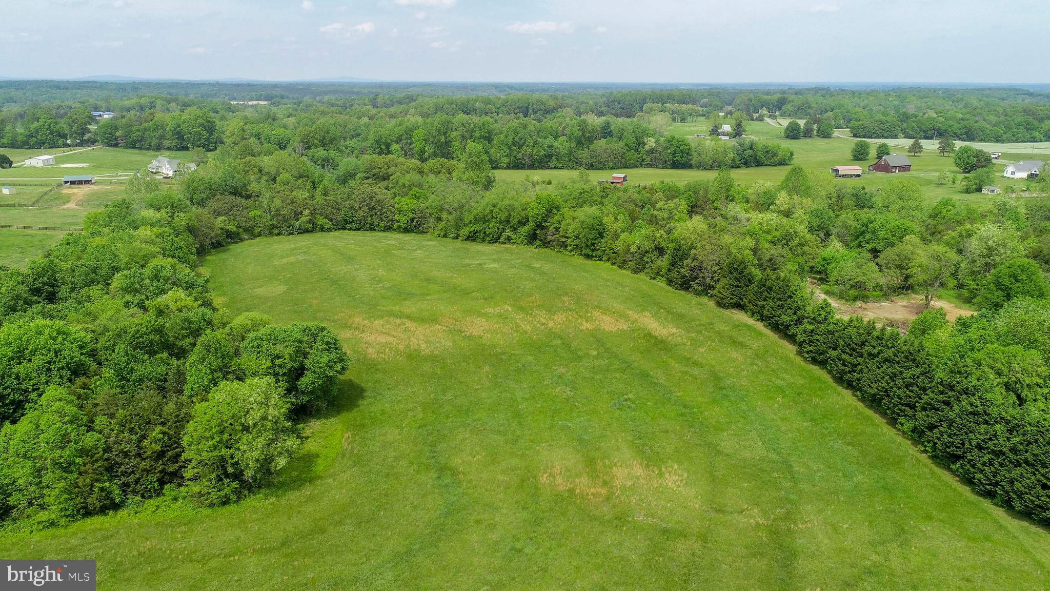 Lot 4 Panamint Farms Road Louisa, VA 23093 - Photo 4 of 8
