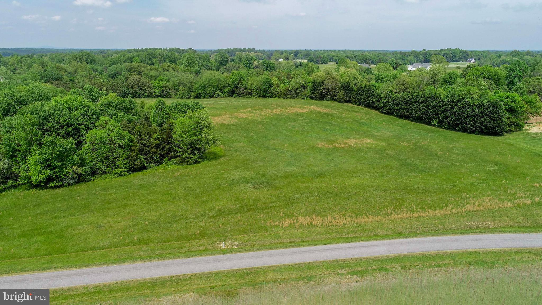 Lot 4 Panamint Farms Road Louisa, VA 23093 - Photo 6 of 8