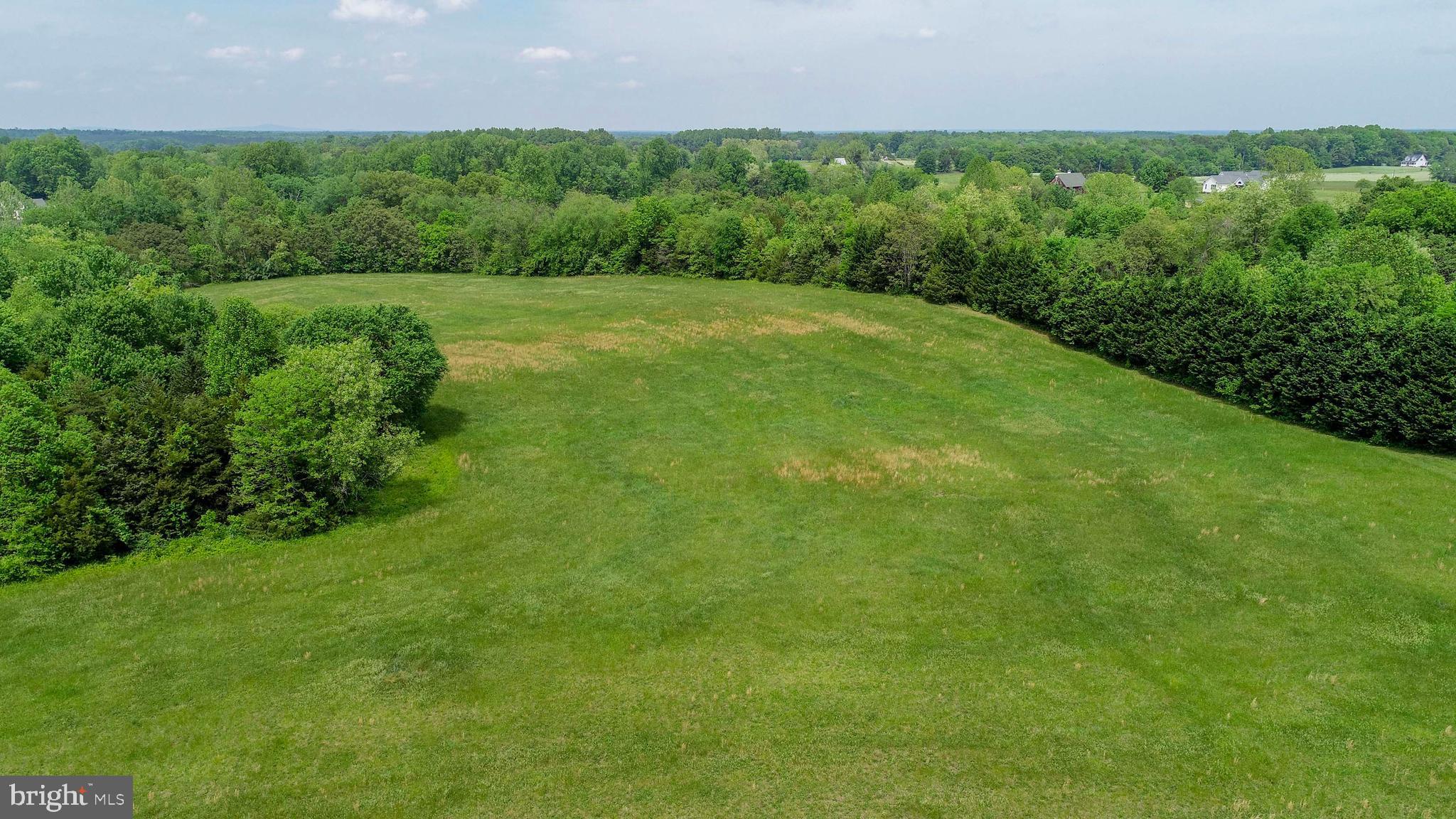 Lot 4 Panamint Farms Road Louisa, VA 23093 - Photo 7 of 8