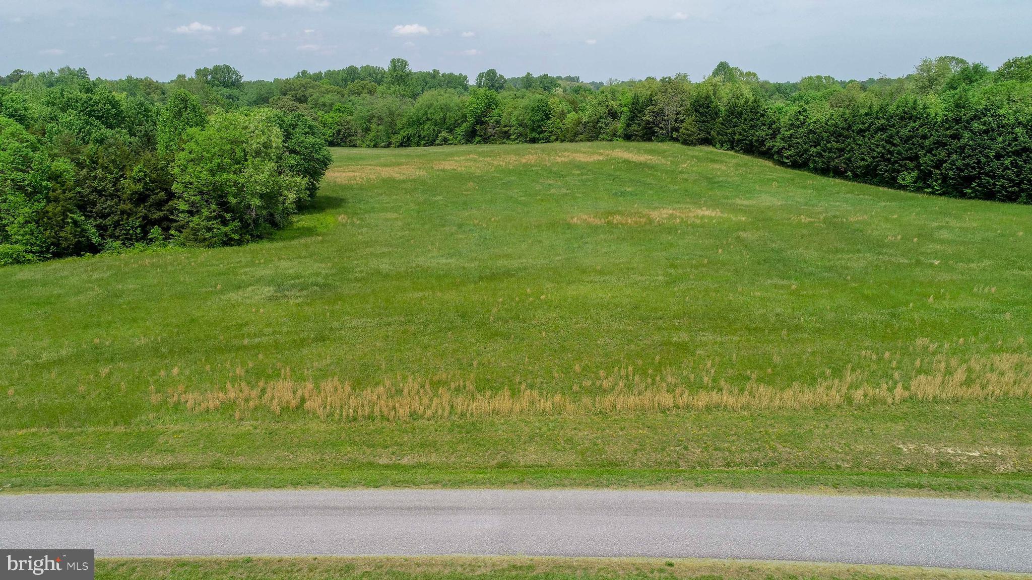 Lot 4 Panamint Farms Road Louisa, VA 23093 - Photo 8 of 8