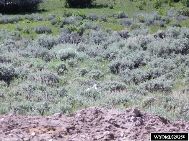 $275,000 | Nw4-nw4 East Nw4-nw4 E Miller Mountain, La Barge, WY 83123