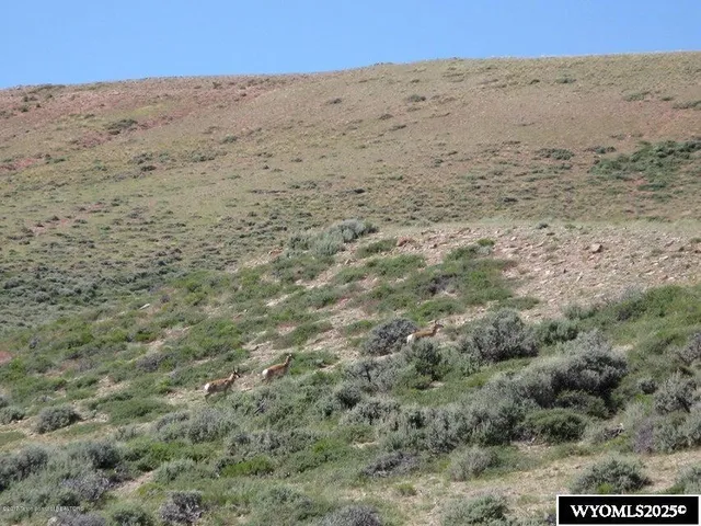 $275,000 | Nw4-nw4 East Nw4-nw4 E Miller Mountain, La Barge, WY 83123