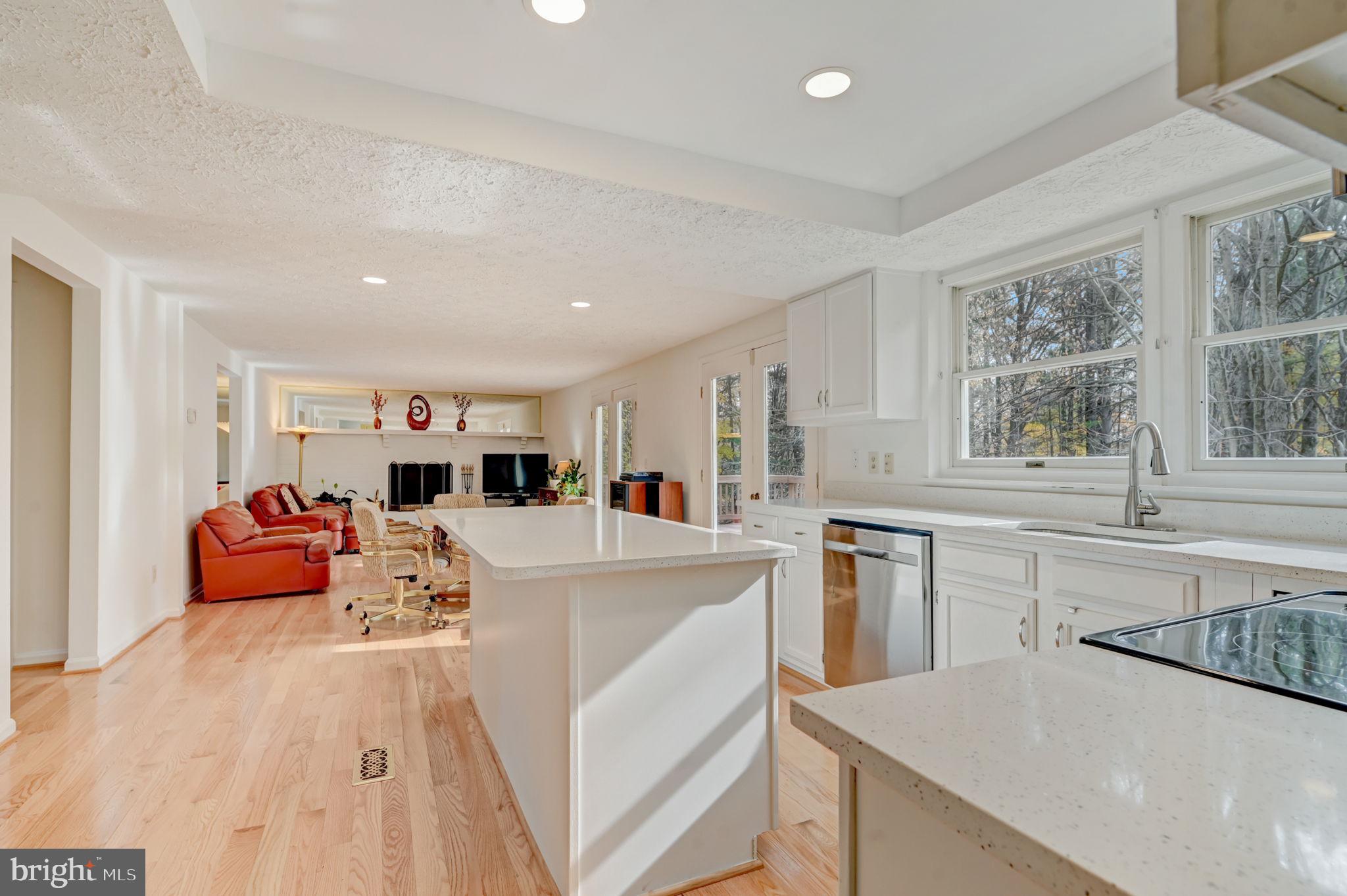 1401 Concord Point Lane Reston, VA 20194 - Photo 17 of 65 Kitchen with Quartz counters