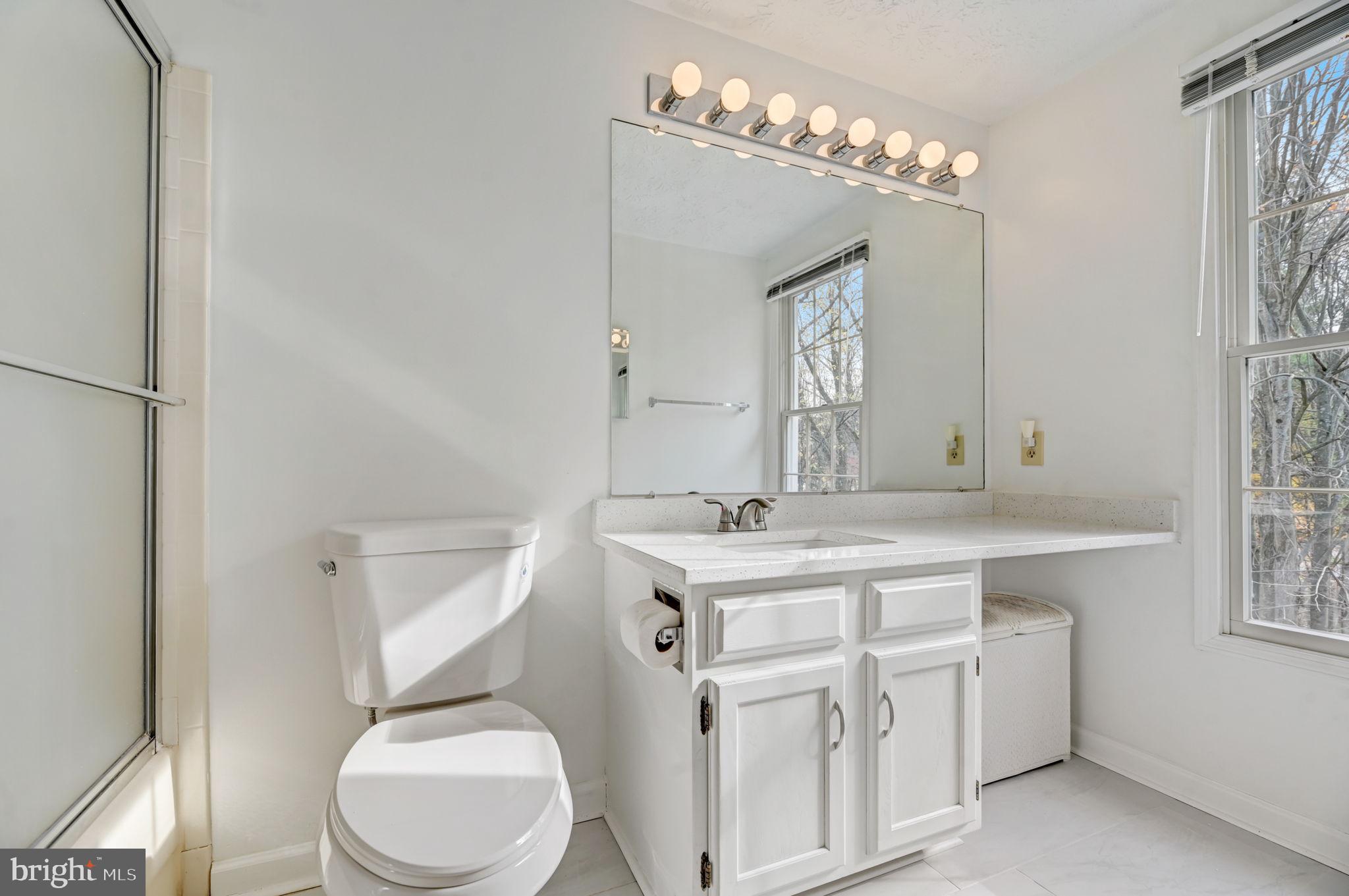 1401 Concord Point Lane Reston, VA 20194 - Photo 29 of 65 Primary Bathroom