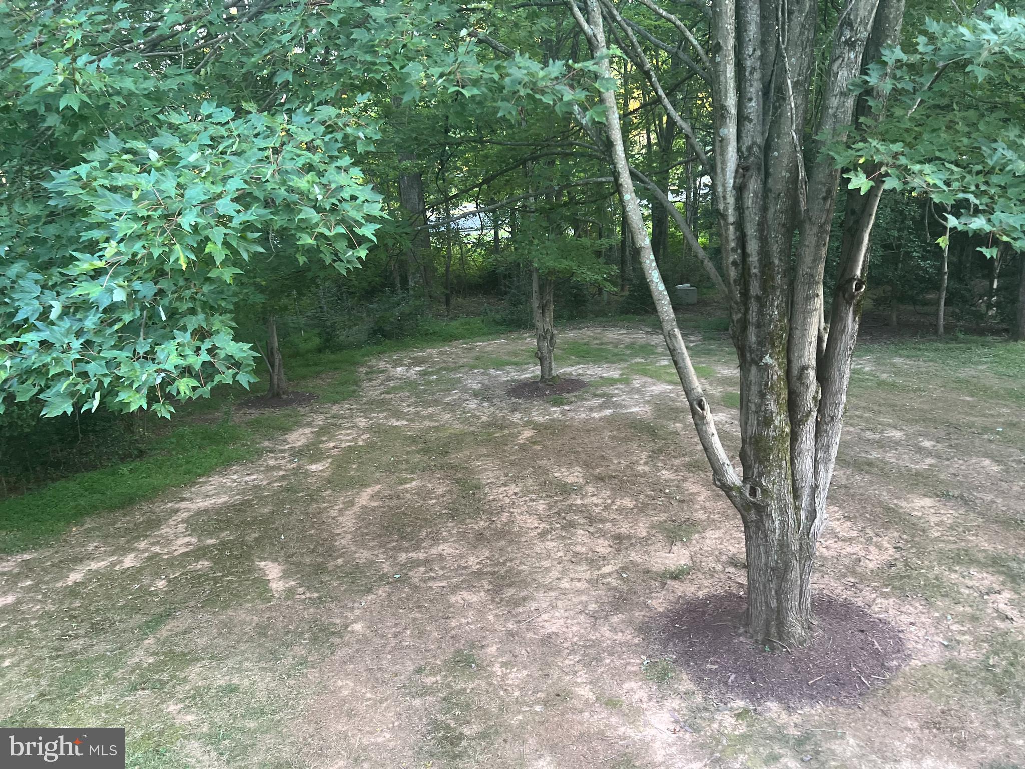 1401 Concord Point Lane Reston, VA 20194 - Photo 5 of 65 All trees in the spring, Summer and Fall