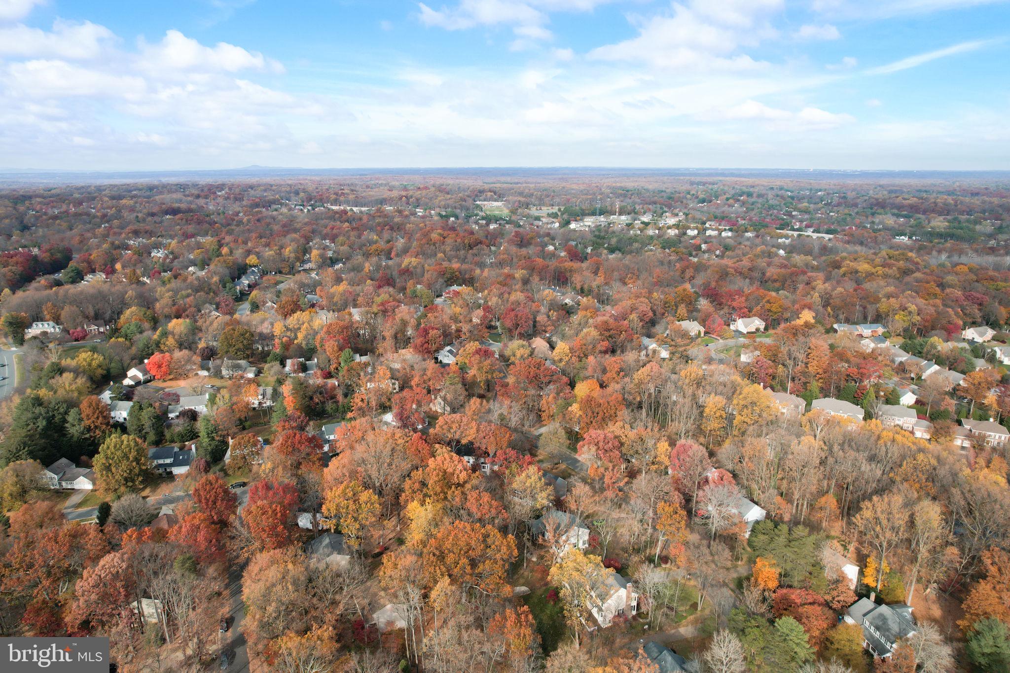 1401 Concord Point Lane Reston, VA 20194 - Photo 53 of 65 Gallery Image 53