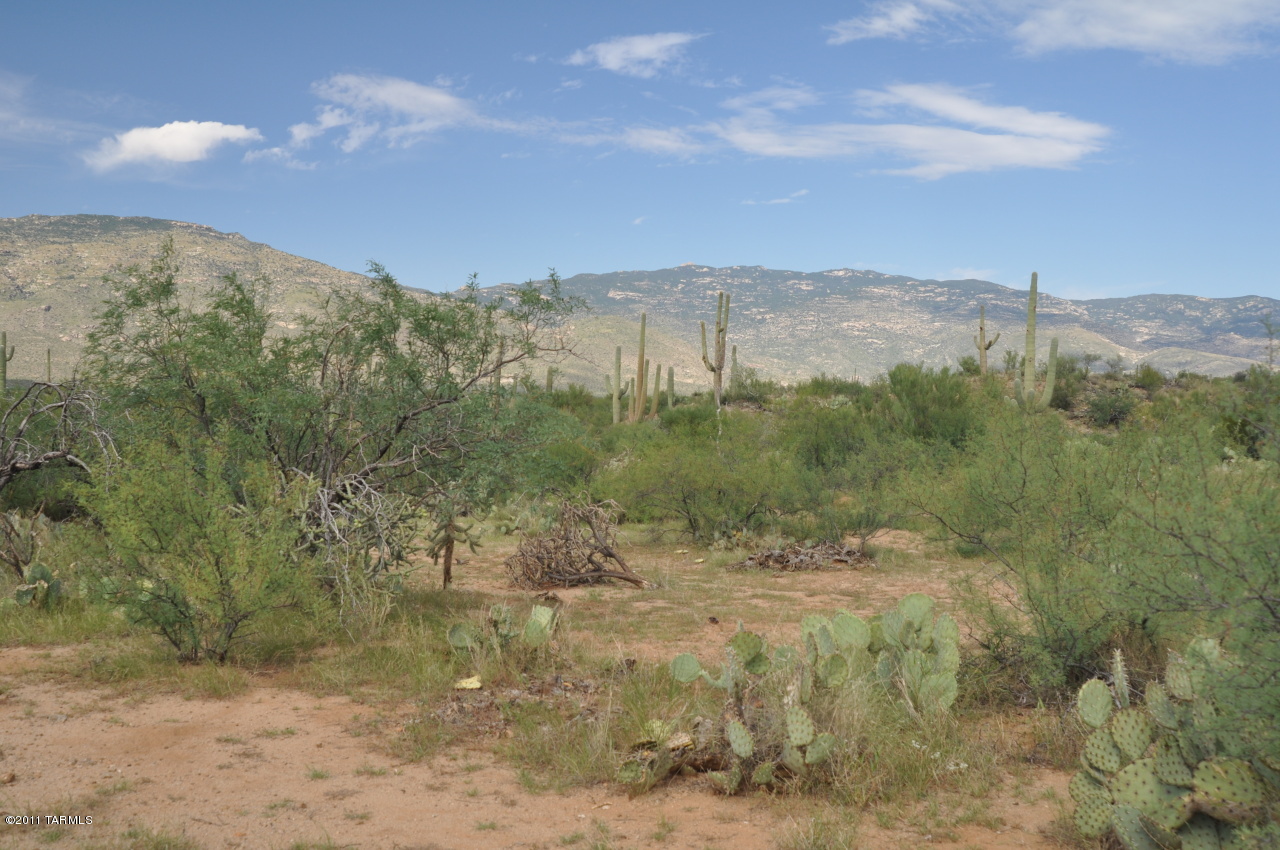 7500 Rolling Tumbleweed Road, Unit B Vail, AZ 85641 - Photo 4 of 7