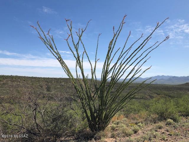 Tbd Tbd Camino Obregon, Unit 133 Rio Rico, AZ 85648 - Photo 3 of 10