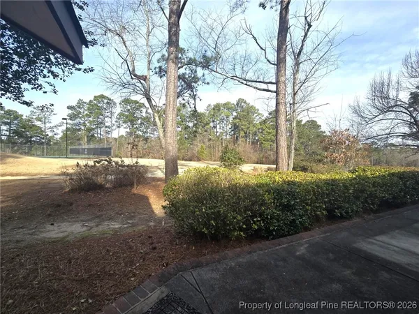 a view of a yard with a tree