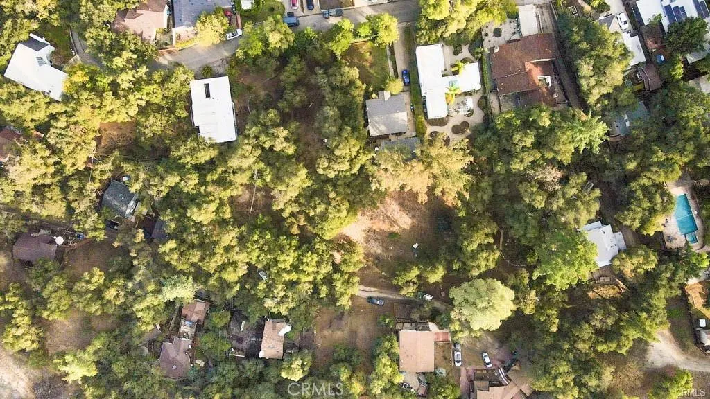 0 Elzevir Road Woodland Hills, CA 91364 - Photo 13 of 28 a close up of a tree