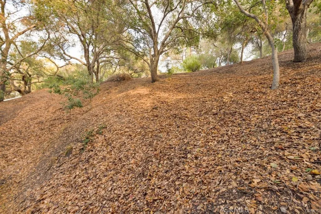0 Elzevir Road Woodland Hills, CA 91364 - Photo 14 of 28 a view of a yard with trees
