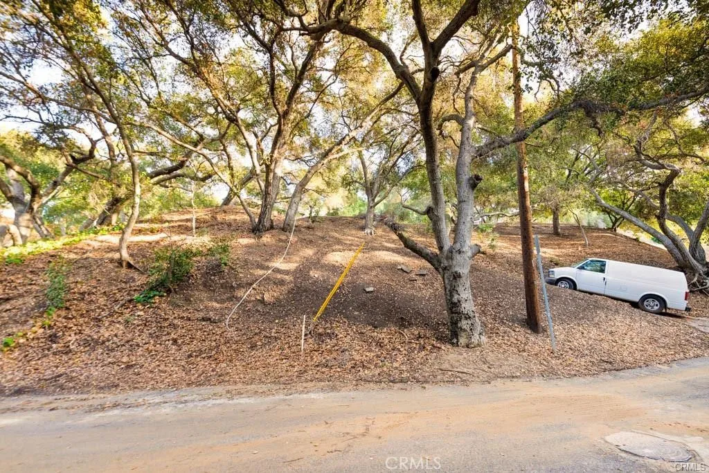 0 Elzevir Road Woodland Hills, CA 91364 - Photo 17 of 28 a backyard of a house with trees and covered with snow