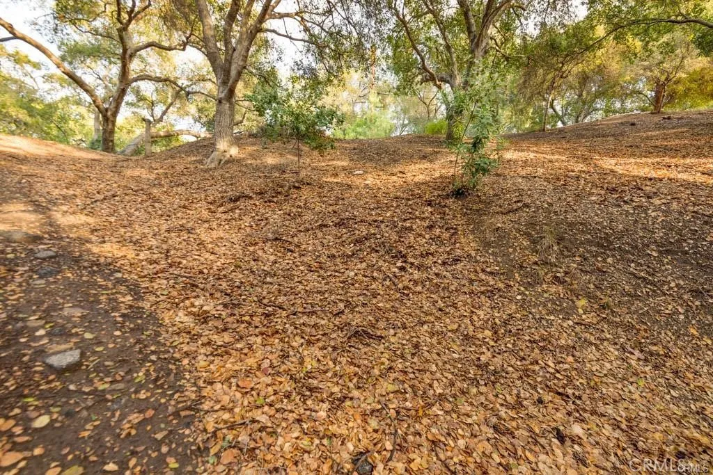 0 Elzevir Road Woodland Hills, CA 91364 - Photo 20 of 28 a view of dirt yard with a tree