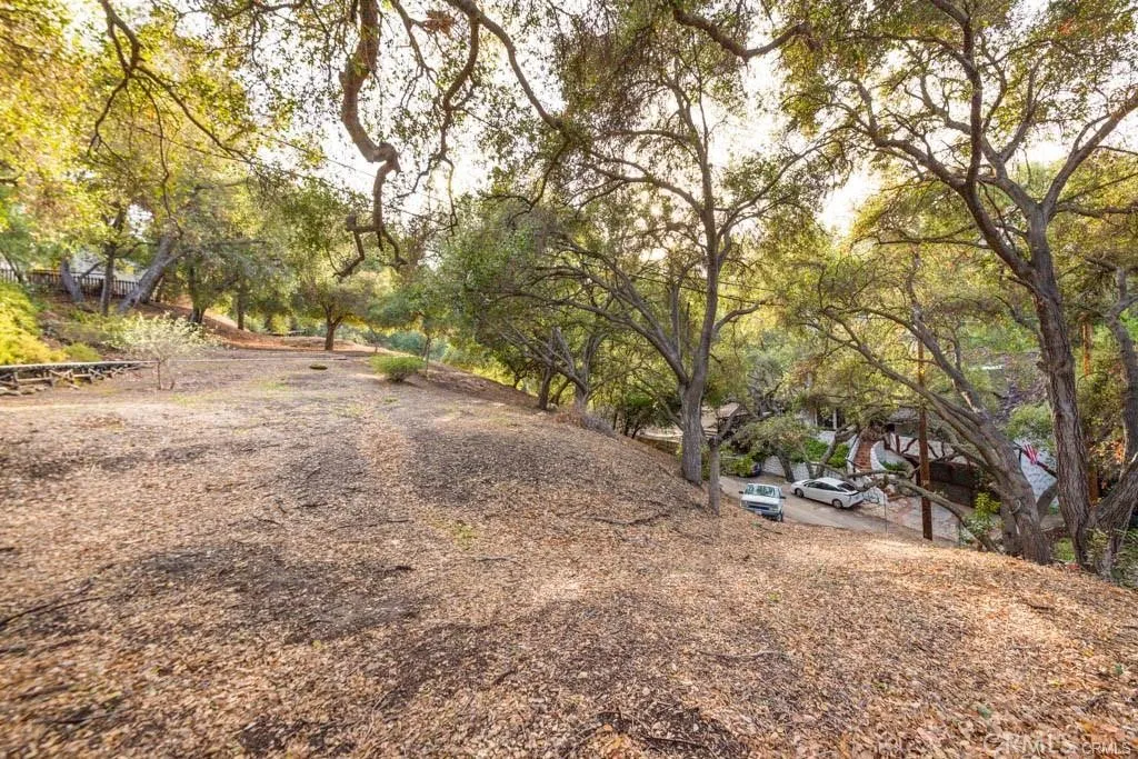 0 Elzevir Road Woodland Hills, CA 91364 - Photo 21 of 28 a view of a yard with large trees
