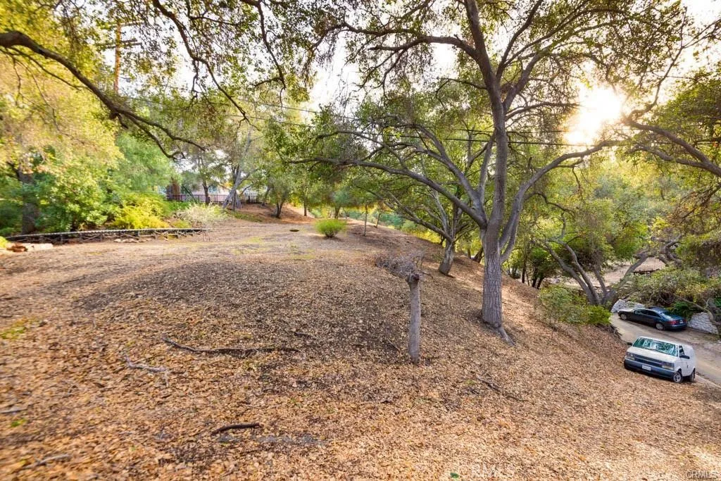 0 Elzevir Road Woodland Hills, CA 91364 - Photo 22 of 28 a view of a yard with a tree