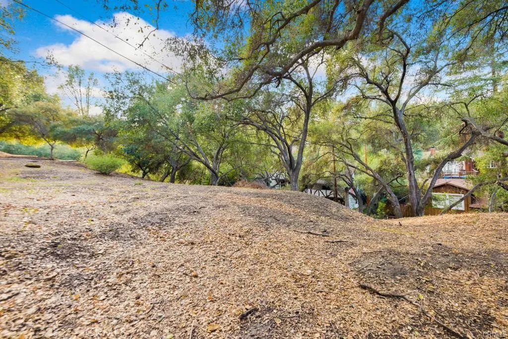 0 Elzevir Road Woodland Hills, CA 91364 - Photo 26 of 28 a view of a yard with a tree