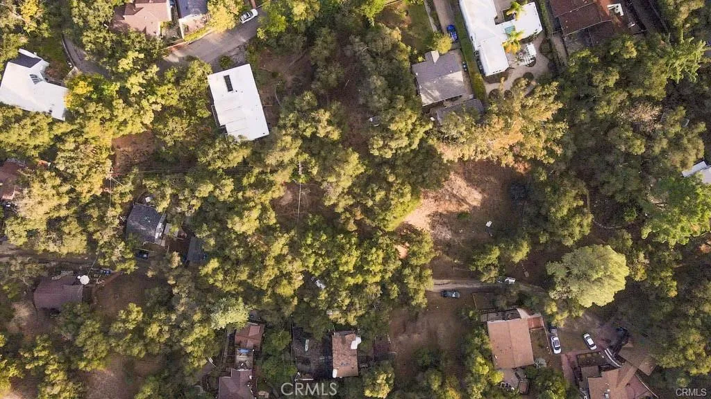 0 Elzevir Road Woodland Hills, CA 91364 - Photo 5 of 28 a close up of a tree