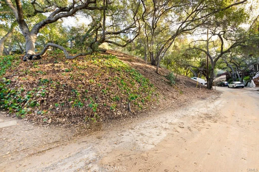 0 Elzevir Road Woodland Hills, CA 91364 - Photo 7 of 28 a view of a yard with a tree