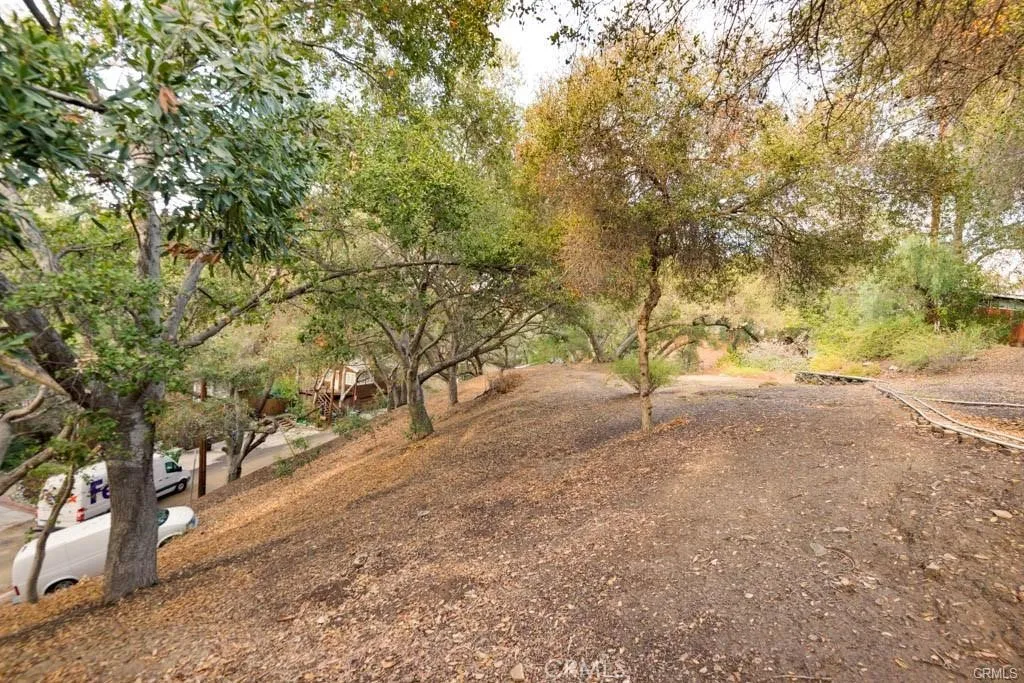 0 Elzevir Road Woodland Hills, CA 91364 - Photo 8 of 28 a view of dirt yard with a tree