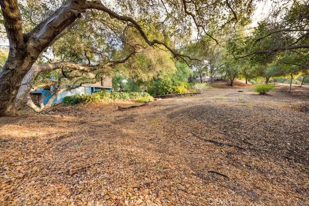 0 Elzevir Road Woodland Hills, CA 91364 - Photo 9 of 28 a view of road with large trees
