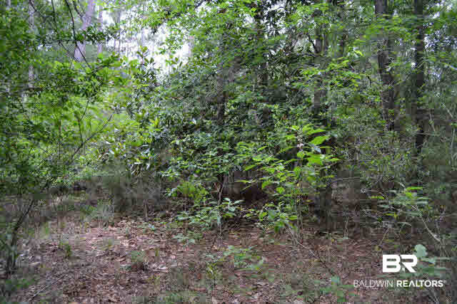 0 Wolf Bay Lane Foley, AL 36535 - Photo 2 of 4 Lot is fully wooded