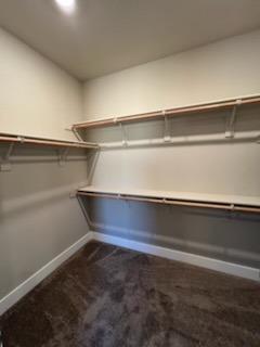 11501 Lagarto Way Rancho Cordova, CA 95742 - Photo 8 of 10 a close view of closet