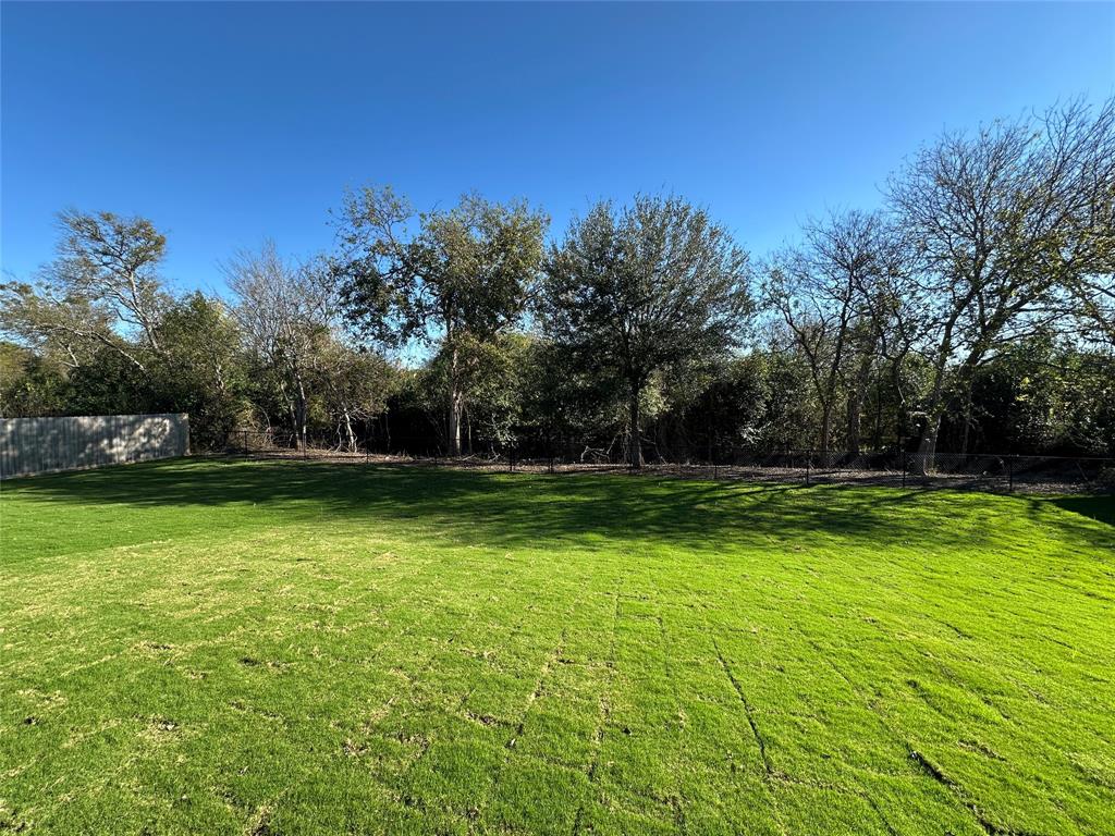 133 Lasso Loop Lorena, TX 76655 - Photo 2 of 22 a view of a yard