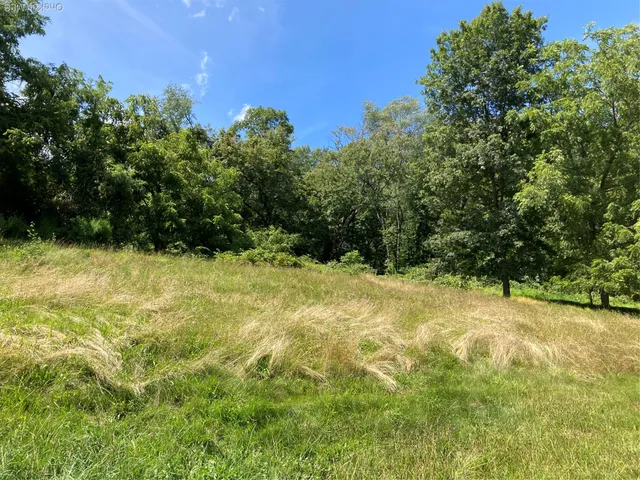 a view of outdoor space and yard
