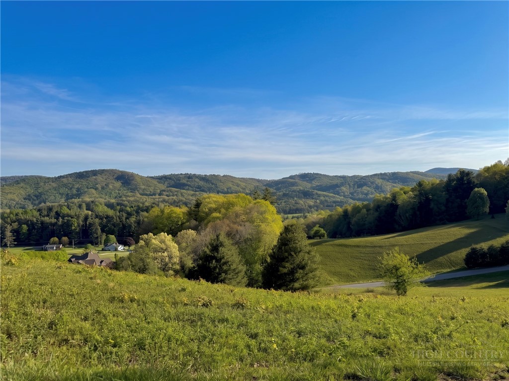 Lot 27 Hartley Knob Road Boone, NC 28607 - Photo 7 of 15