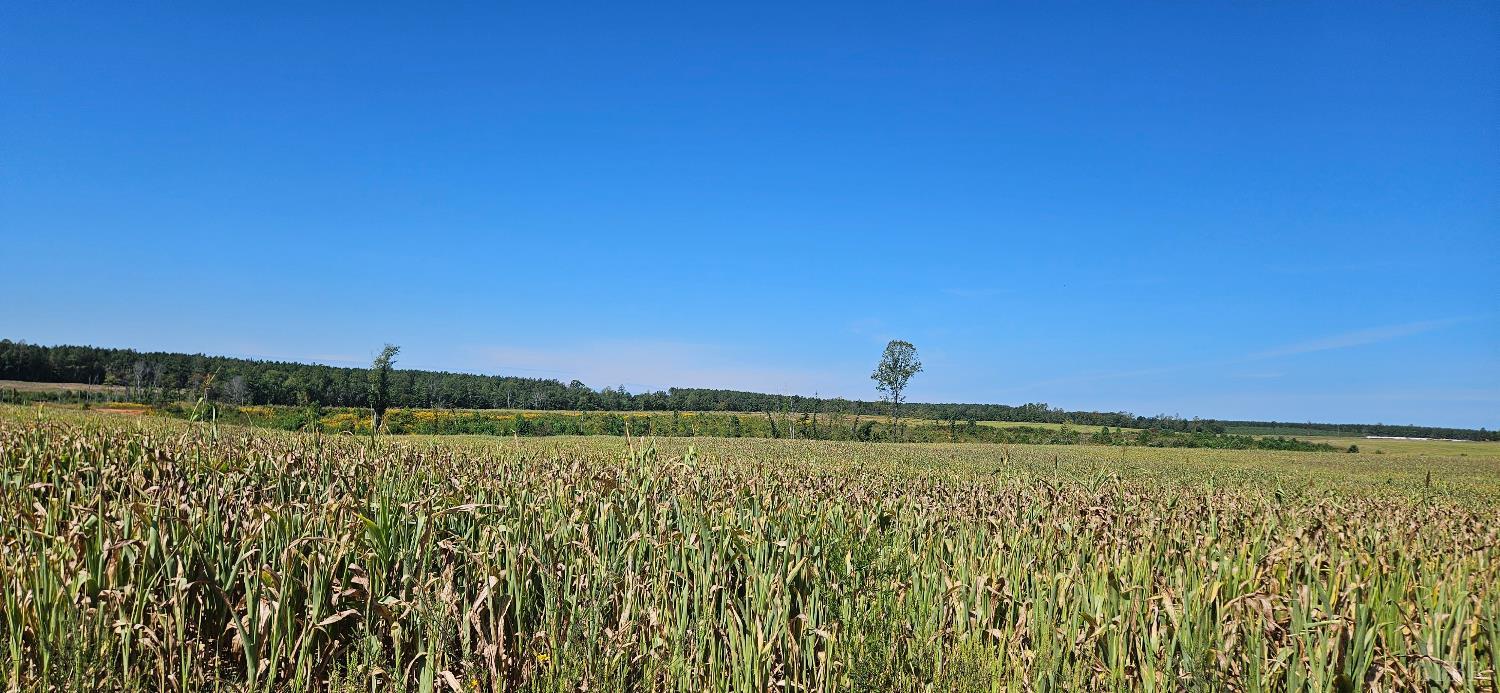 0 Glenmore Road Scottsville, VA 24590 - Photo 11 of 12